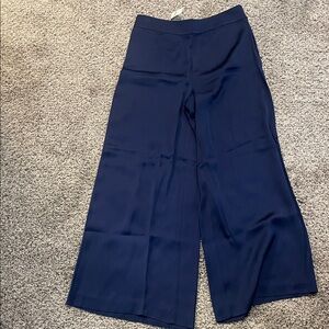 Ann Taylor Wide-Leg Navy Palazzo Pants